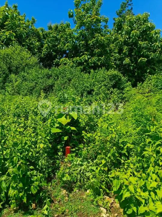 Dijual Tanah di Jimbaran Ãâ¬" Jl. Raffles - Image 2 of 4