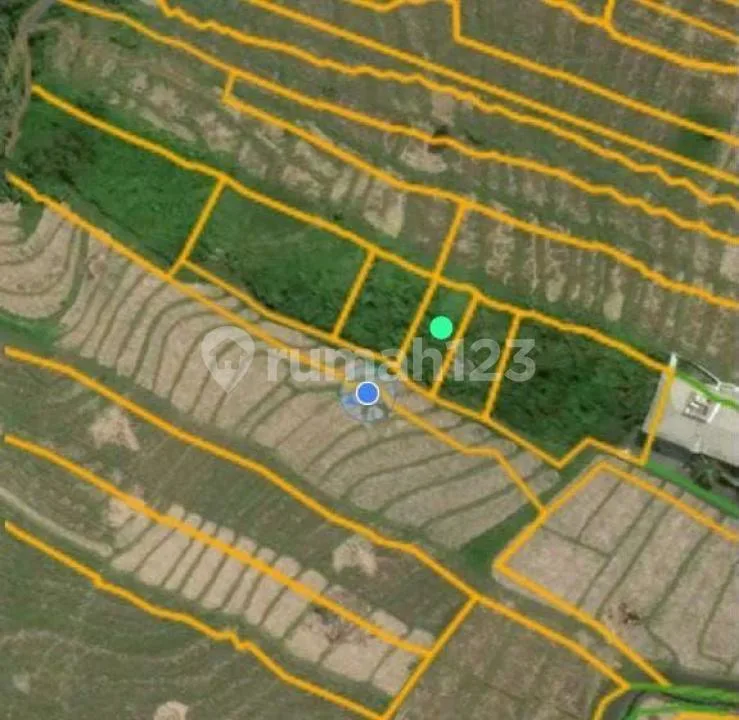 Lahan Langka Plot Kecil Dekat Pantai Mengening - Image 2 of 4