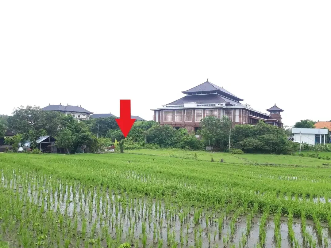 Dijual Tanah di Jalan Arjuna Dalung - Image 1 of 5