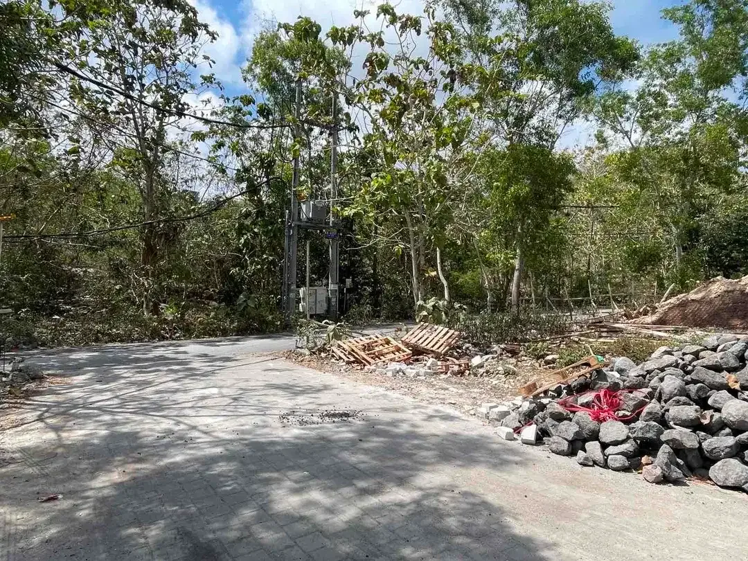 Lahan premium kawasan villa mewah lokasi cemongkak dekat dengan pantai - Image 4 of 5