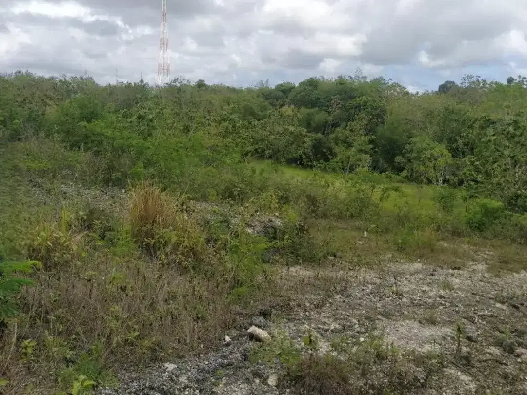 450 sqm Affordable Residential Land for Sale in Prime Location of Kampial, Nusa Dua - Image 7 of 8
