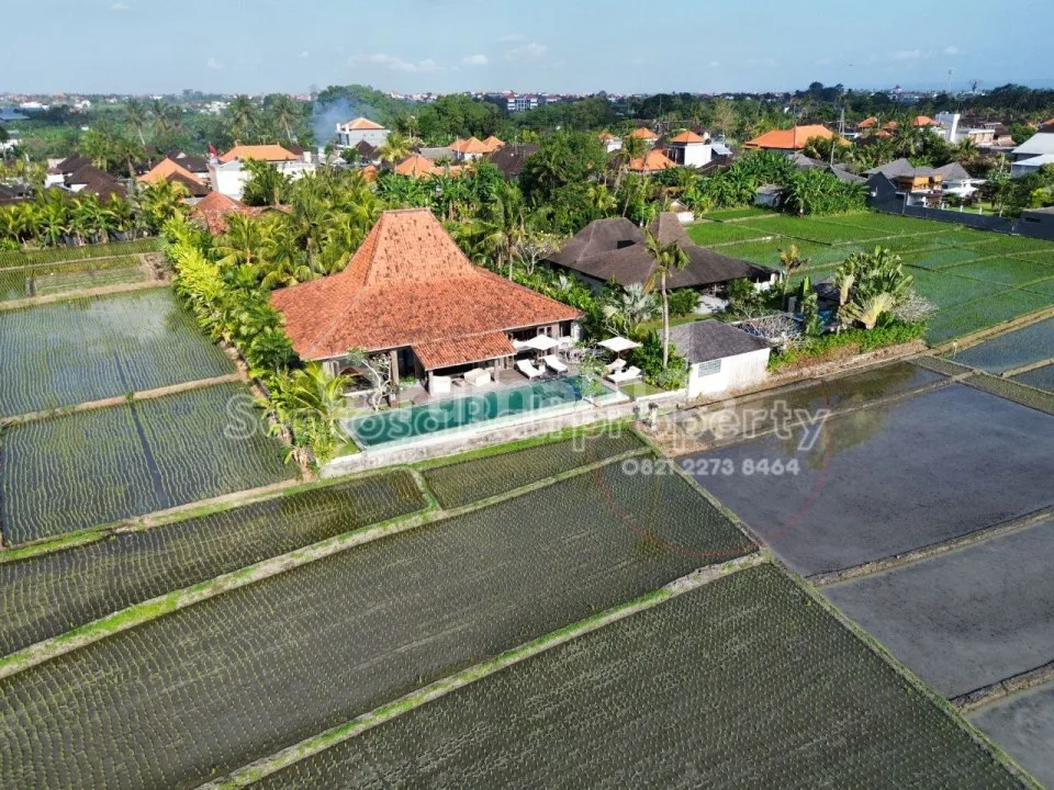 Luxury Villa View Sawah di Panyai Nyanyi Badung Bali - Image 4 of 4