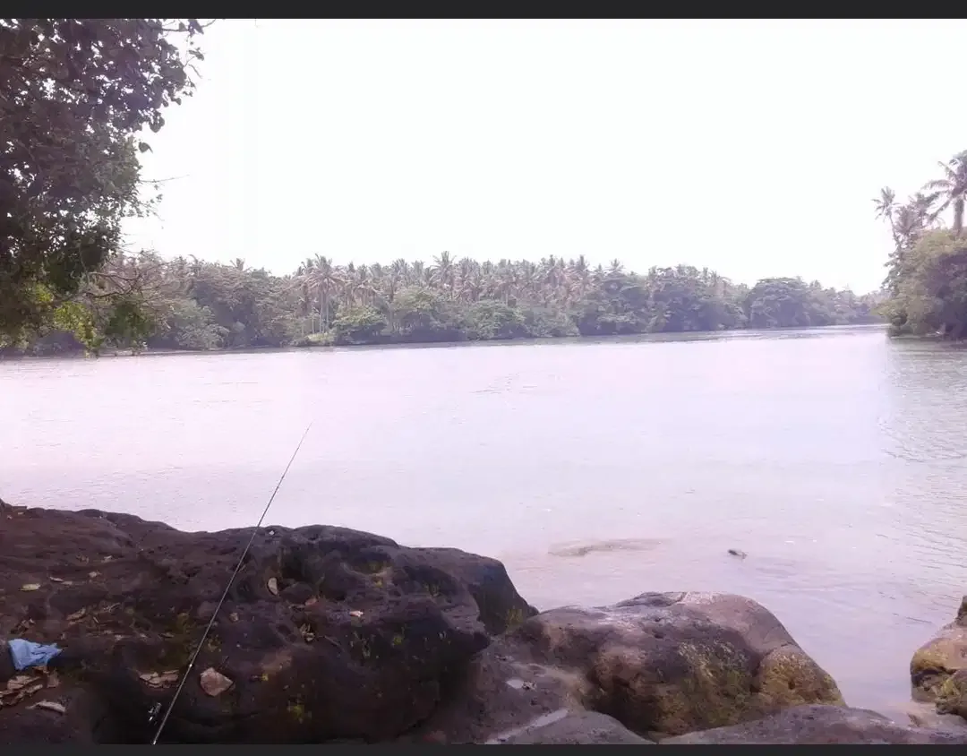 DIJUAL TANAH LOS PANTAI BERABAN DAN SUNGAI DI TABANAN - Image 9 of 10
