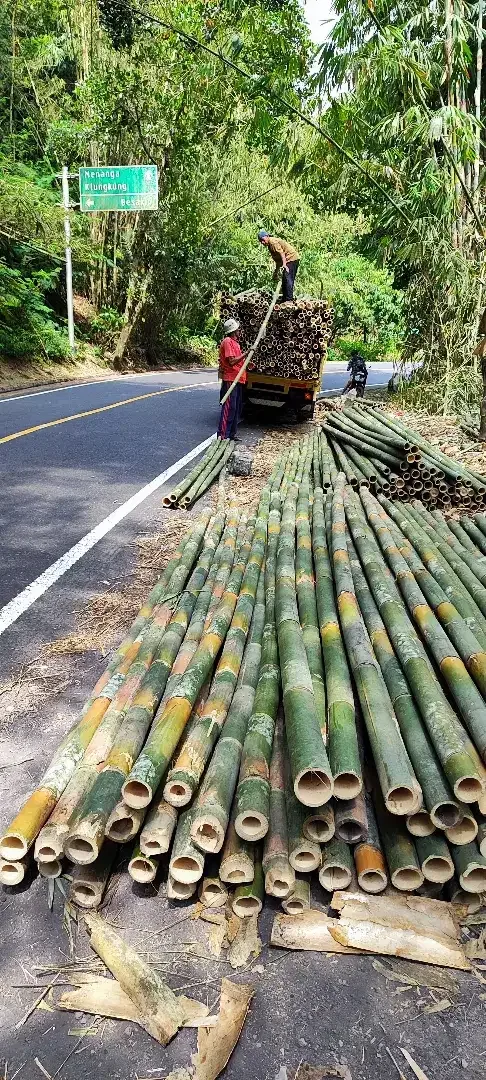 Dijual kayu usuk lokal - Image 5 of 6