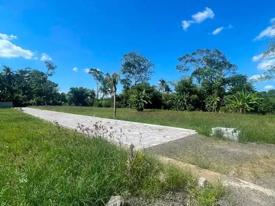 Dijual Tanah Kavling - 300 meter dari Pantai Kelecung, Tabanan. - Image 3 of 10