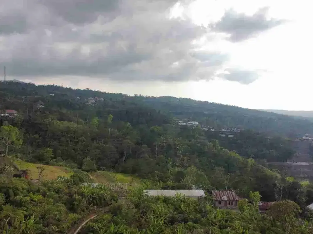 Tanah 30 Ha View Alam Kawasan Turyapada Buleleng - Image 2 of 8