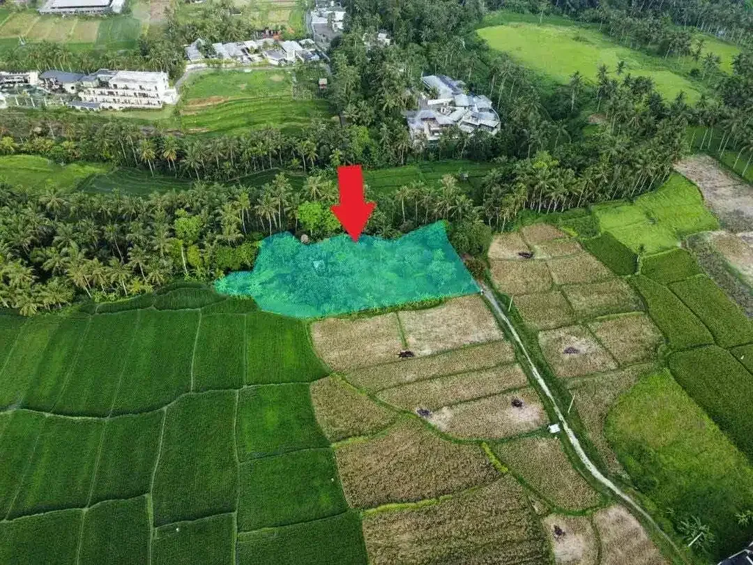 TANAH VIEW SAWAH DAN SUNGAI LOKASI LOT TUNDUH UBUD - Image 5 of 10