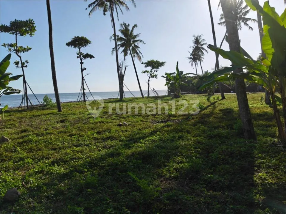 Rare Beach Land - Only 100Meters Walk To Soan Galuh Beach, Tabanan - Image 2 of 4