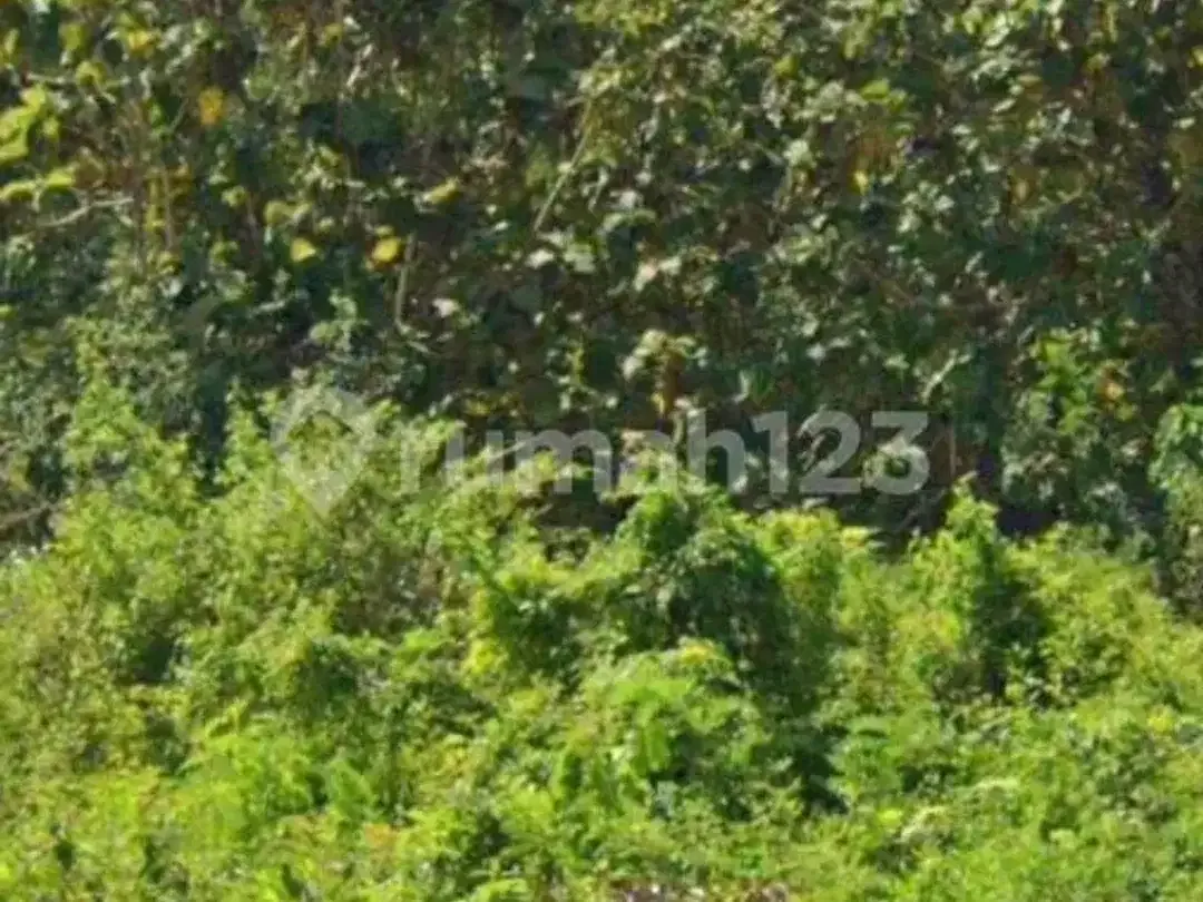 380 Juta Per Are Dijual Cepat Tanah Jimbaran - Image 4 of 6