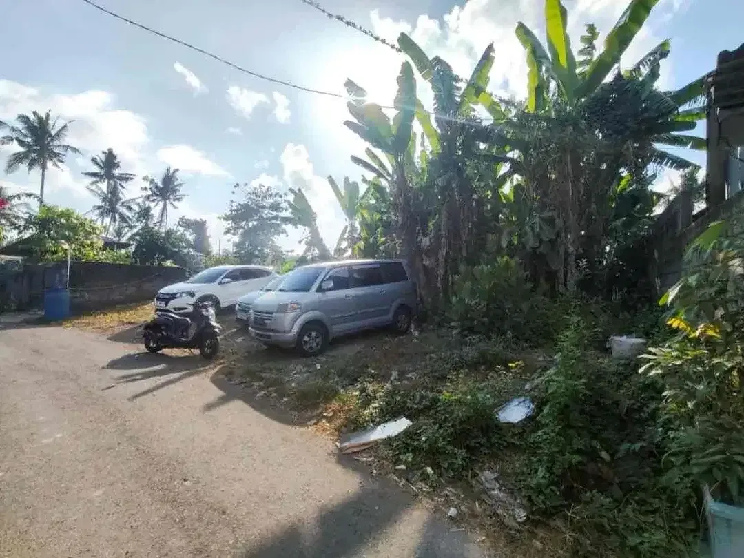 Dijual Tanah Kosong View Sawah dan Sungai - Image 2 of 6