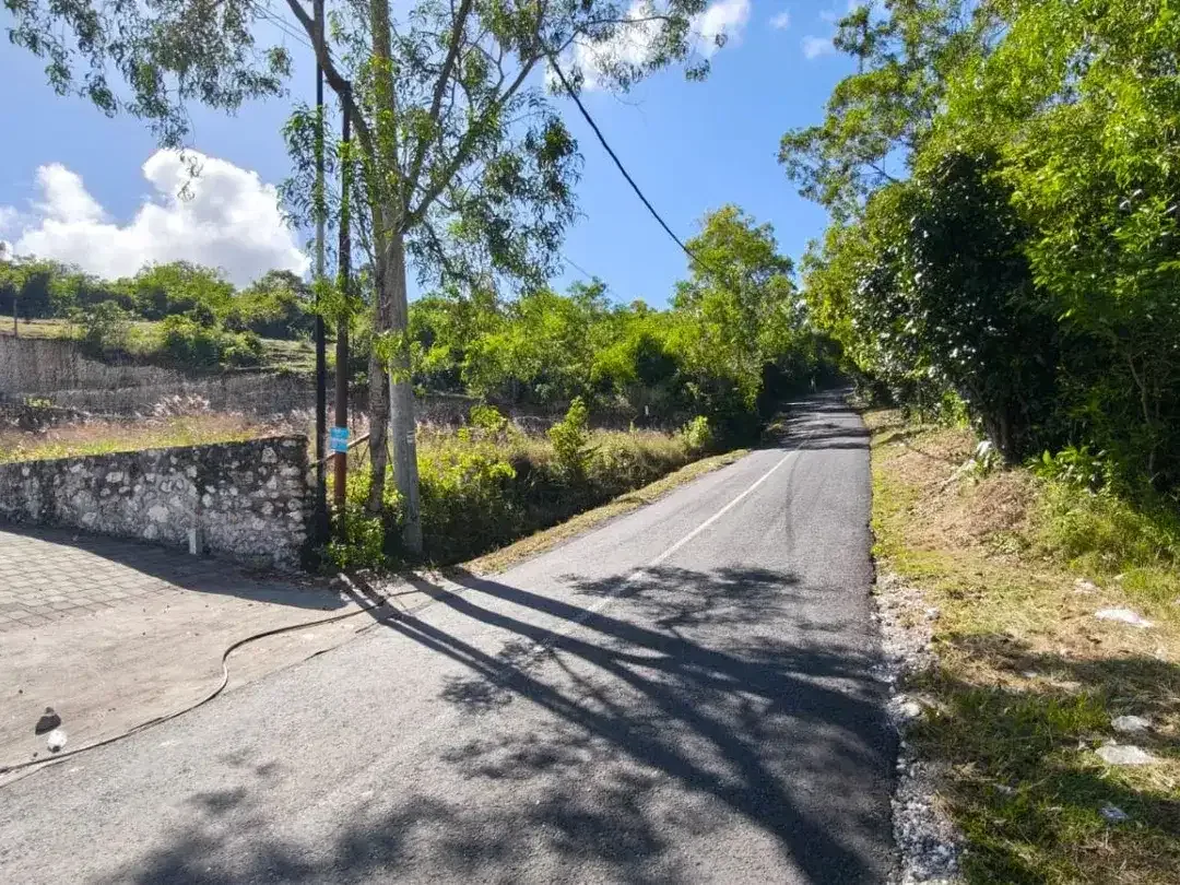 JUAL SEWA TANAH GOOD VIEW UNGASAN - Image 5 of 10