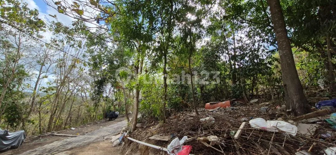 Freehold - Prime Ocean View Land For Sale In Labuan Sait, Pecatu, Uluwatu, Bali - Image 4 of 4