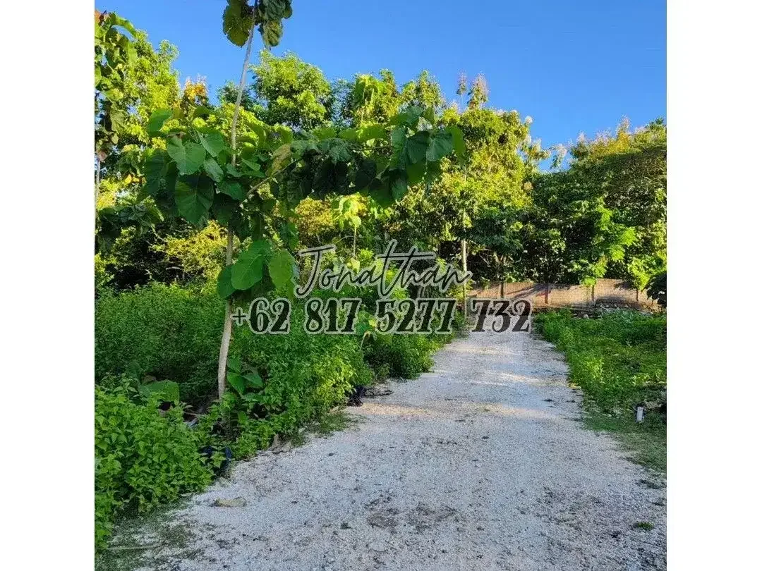 Dijual Tanah Freehold Zona Kuning di Jl Raffles Puri Gading Jimbaran Kuta Selatan - Image 3 of 5