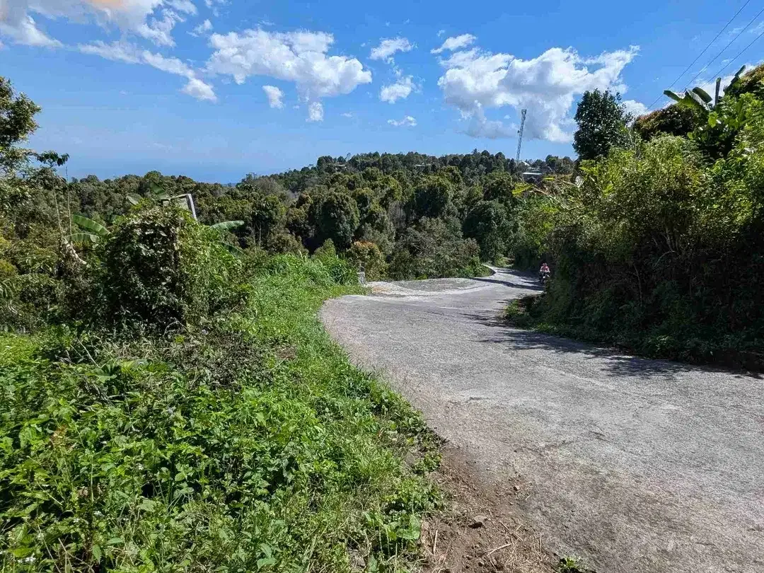 DI JUAL TANAH GLOBAL DI KAWASAN BERKEMBANG DESA GESING VIEW LAUT DAN PEGUNUNGAN, DEKAT WISATA DANAU TAMBLINGAN - Image 1 of 5