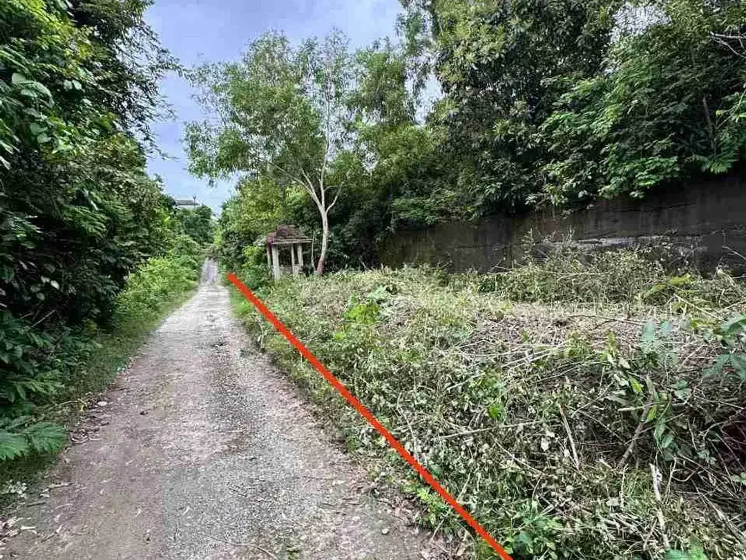 Tanah Strategis Jl Toyaning Ungasan dekat Pantai - Image 7 of 9