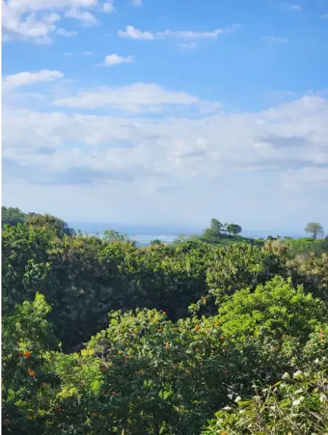 Villa  for sale at kampial Benoa - Image 6 of 10