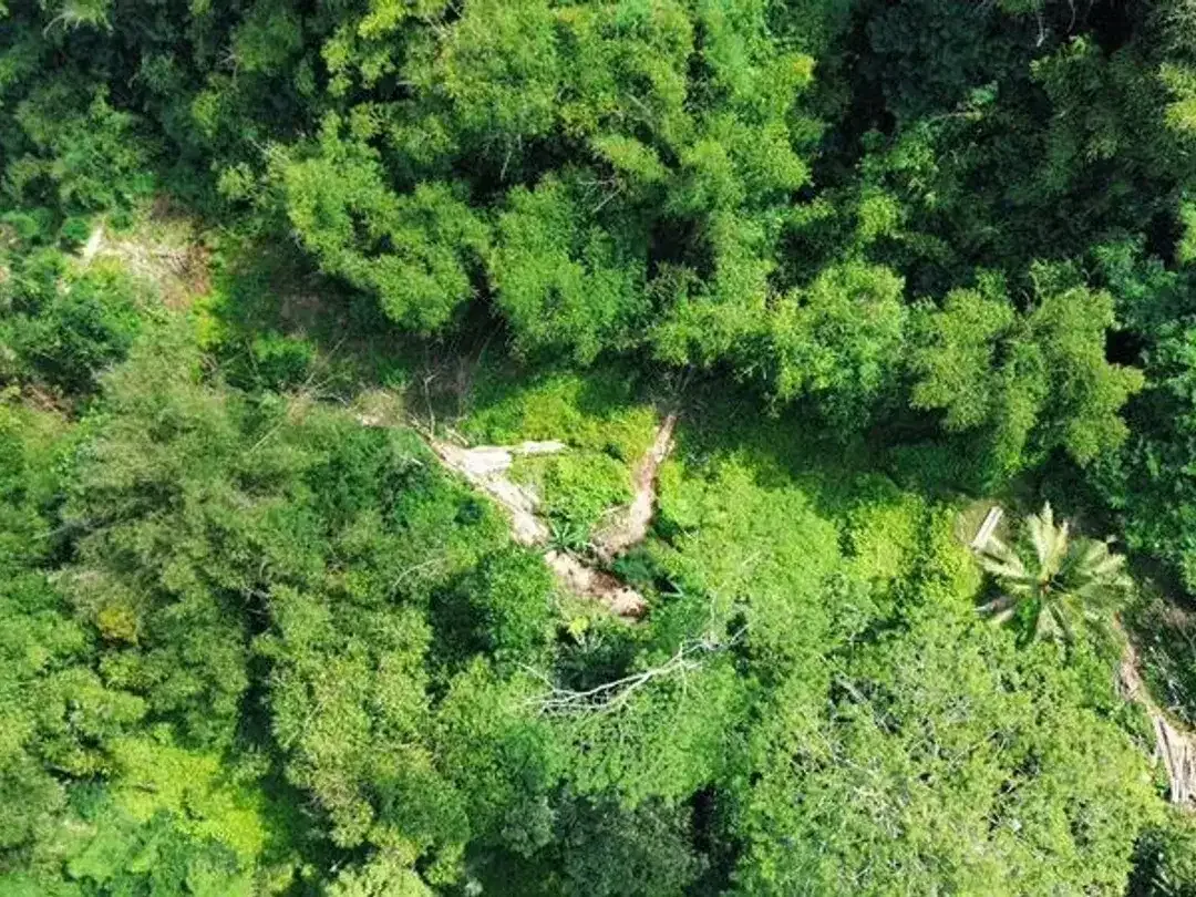 Tanah Lokasi Strategis Sebatu Ubud - Image 3 of 9