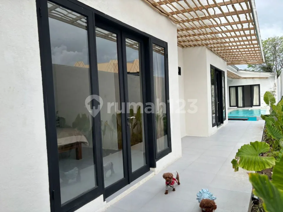 Disewakan Tahunan Villa Modern 3Br Belakang Trans Studio Mall Bali, Minimal 5 Tahun - Image 3 of 4
