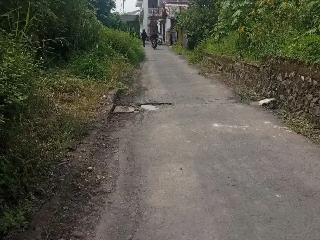 DIJUAL TANAH CENTRAL BATU BOLONG, CANGGU - BALI - Image 3 of 7