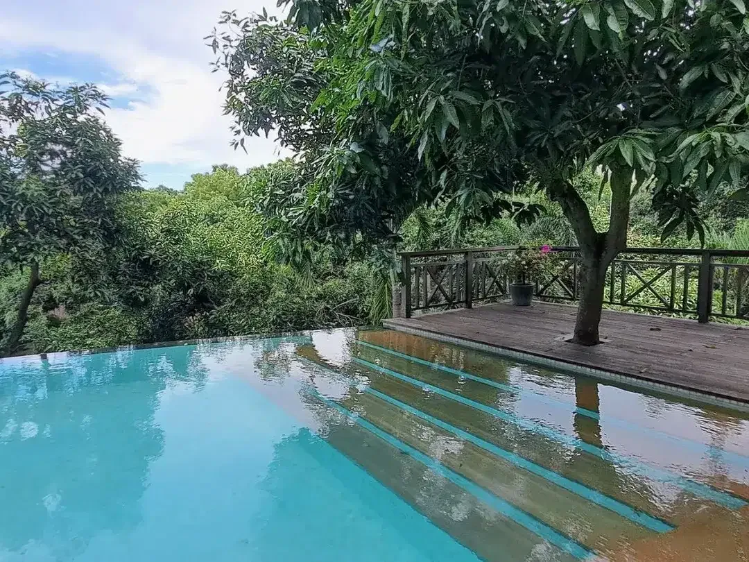 Freehold - Brand new beautiful resort close to the beach available with legal entity ( PT. PMA ) in quiet north Bali - Image 7 of 10