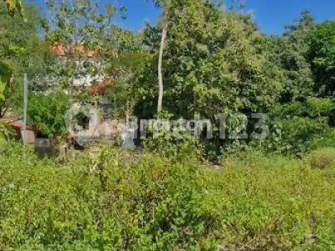 Tanah Premium 32 Are Jalan Uluwatu Unggasan, Zona Pink, SHM, Rp 700 Juta/Are - Image 1 of 7