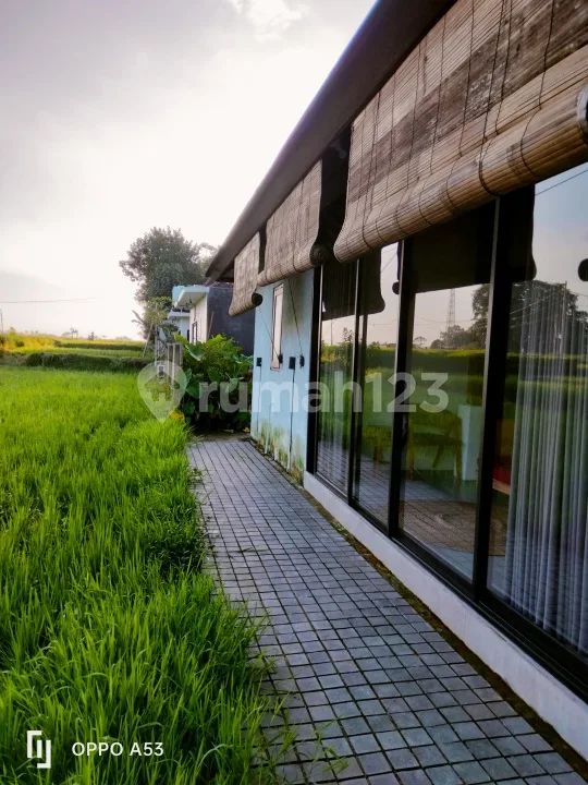 For Rent Villa Location Strategic Ubud 10 Menit From Central Ubud Mongkey Forest Center 40 Menutes From Canggu Nyanyi Beach Tanah Lot Tabanan Tepi Sawah Villa Healing Paling Top di Ubud Bali - Image 1 of 4