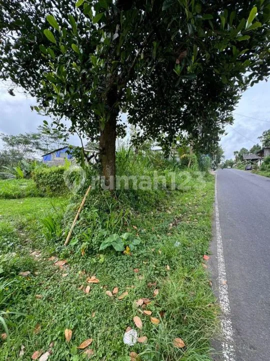 Tanah Murah Jalan Utama Jasan Sebatu Tegalalang Ubud Bali - Image 1 of 4