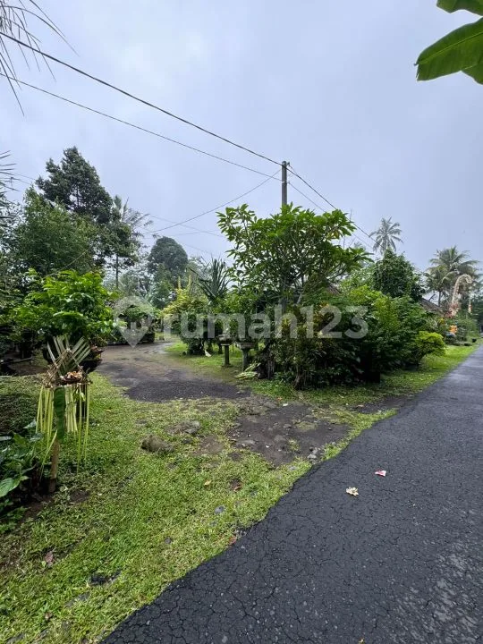 Dijual Lahan Diutara Ubud Lokasi Tegalalang SHM View Jungle Hutan - Image 4 of 4