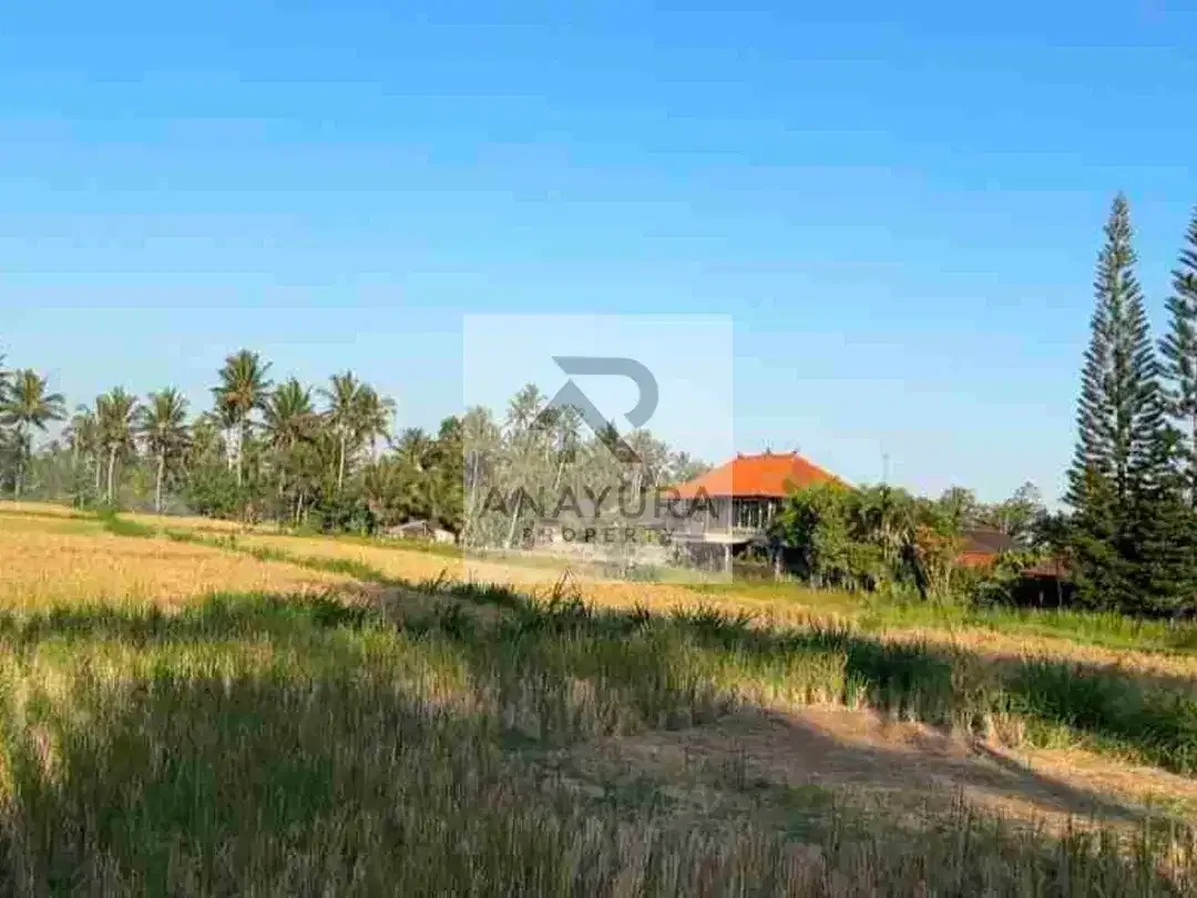 Tanah Pejeng Kangin Dekat Ubud - Image 5 of 10