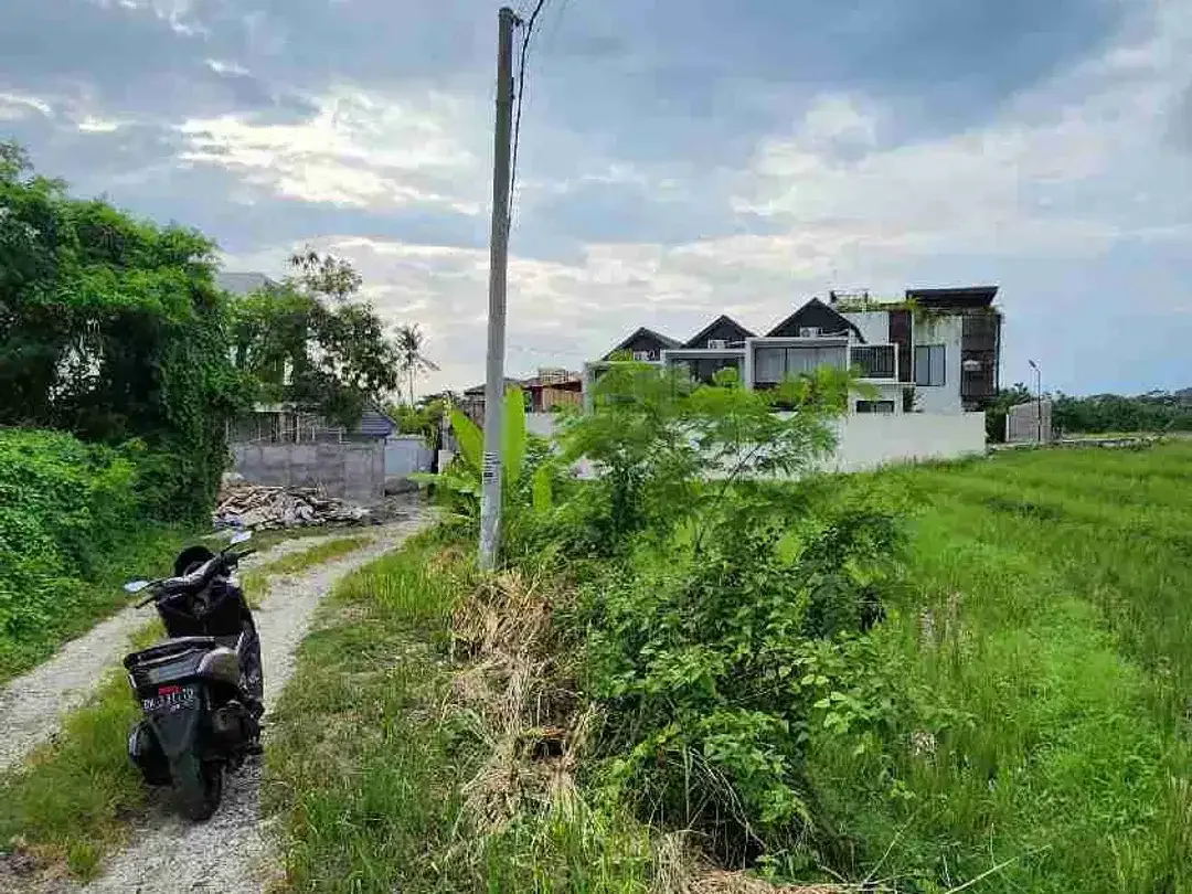 Di jual tanah sangat langka dekat dengan pantai pererenan sangat cocok di bangun villa - Image 4 of 5