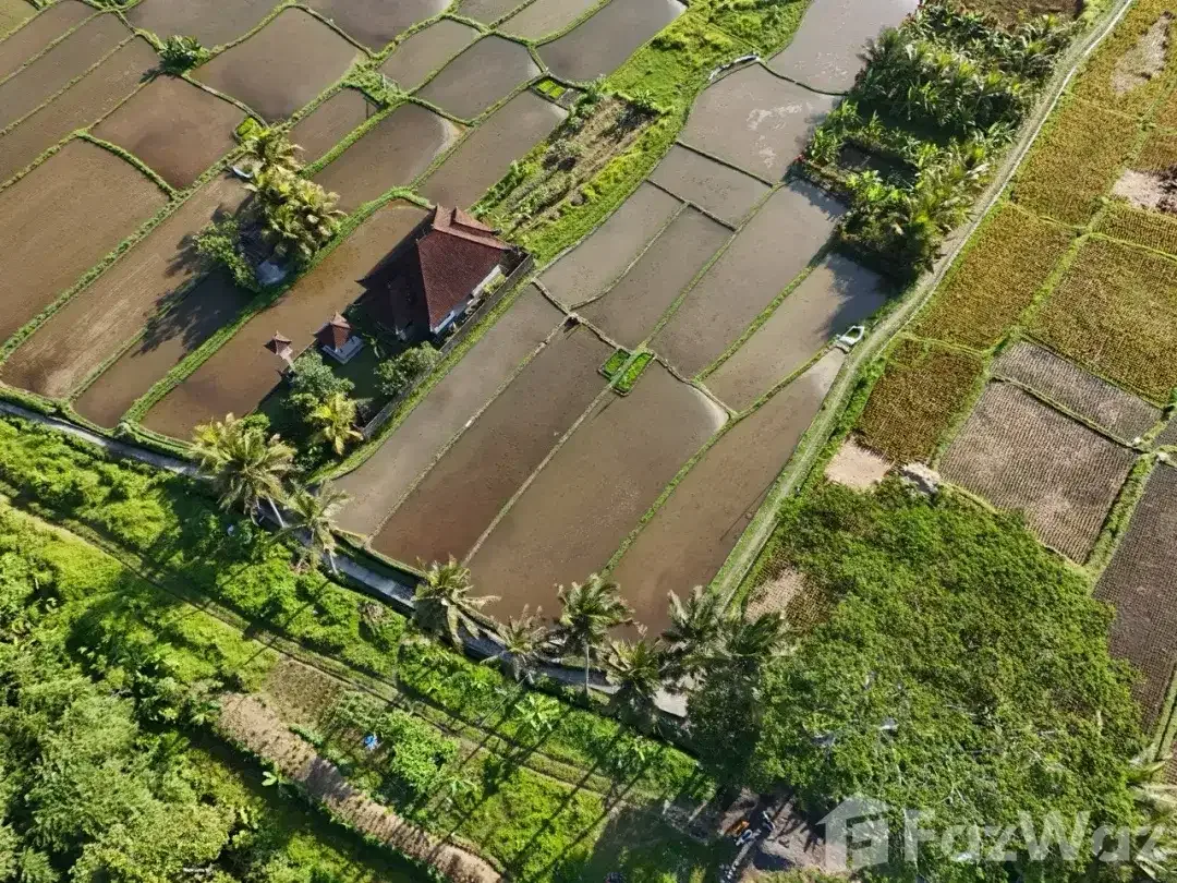 Land for sale in Pejeng, Bali - Image 4 of 9