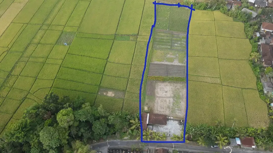 Tanah 3450m2 Full View Sawah di Pantai Kelating Tabanan - Image 4 of 10