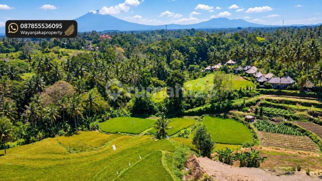 Dijual Tanah Premium - Ubud SHM Zona Pariwisata - Image 2 of 4