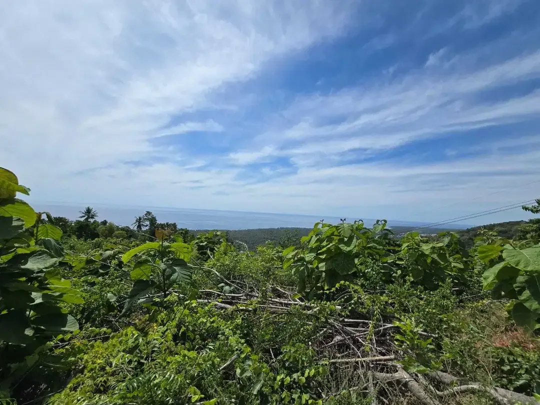 Dijual tanah view laut dekat rencana bali utara - Image 2 of 10