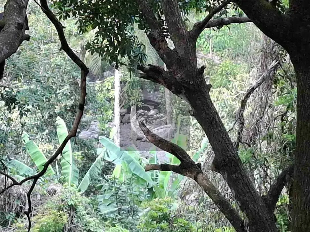 Dijual tanah strategis di kawasan wisata dekat akses jalan denpasar gilimanuk dengan view laut dan los sungai jernir berbatu - Image 9 of 10
