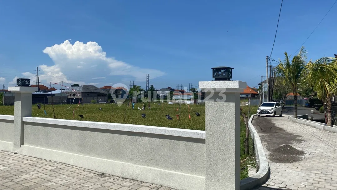 Rumah Sewa Brand New Sanur View Sawah - Image 3 of 4