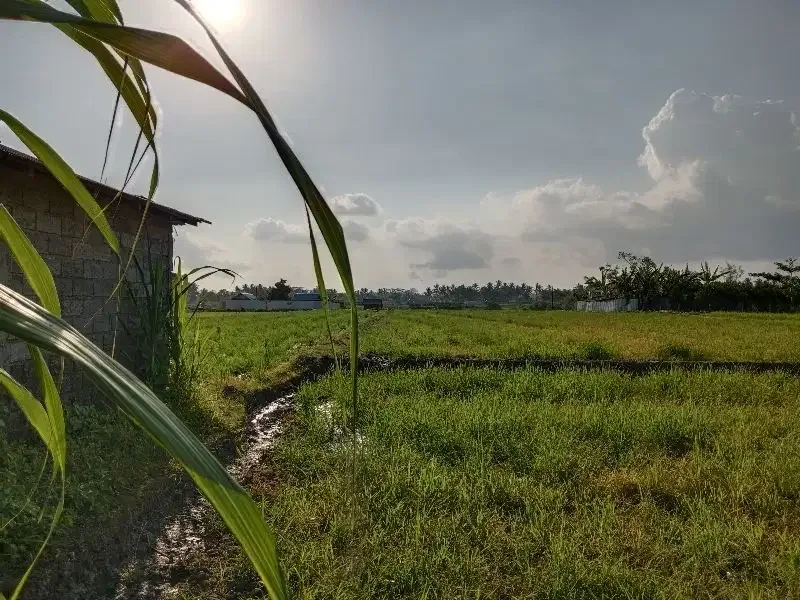 DIJUAL TANAH COCOK UNTUK GUDANG DAN USAHA - Image 8 of 9
