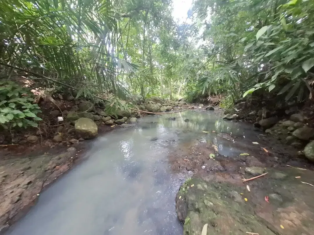 Dijual murah tanah kebun view sawah dan los sungai - Image 10 of 10