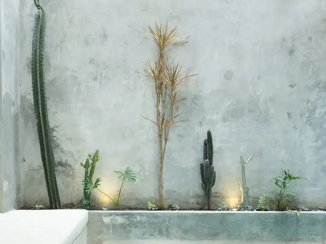 Leasehold - Modern Minimalist Villa with Rice Field Views, Minutes from Berawa Beach - Image 1 of 10