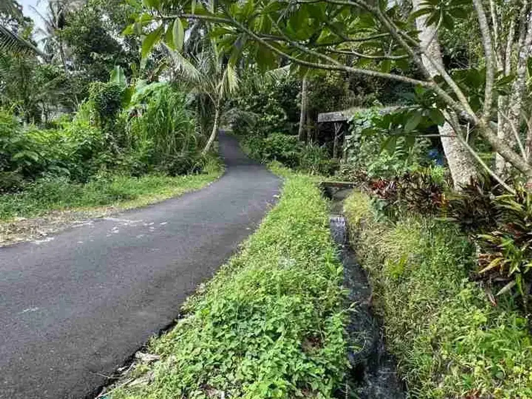 Dijual tanah murah view gunung sawah dan laut di tabanan bali - Image 9 of 9