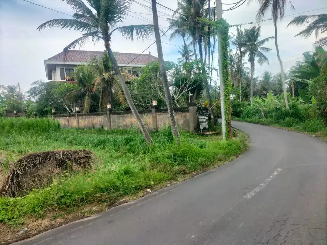 BUC 10 Are Pinggir Jalan Utama Pering Gianyar Bali - Image 1 of 6