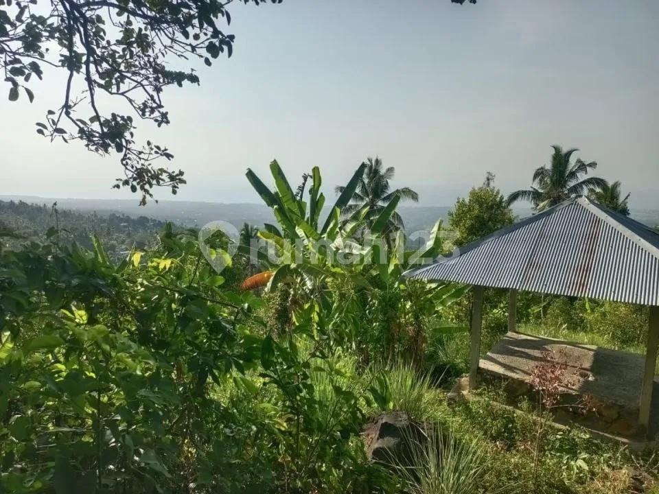 For Sale Ocean View Land In Panji Area And Many Waterfalls Around - Image 2 of 4