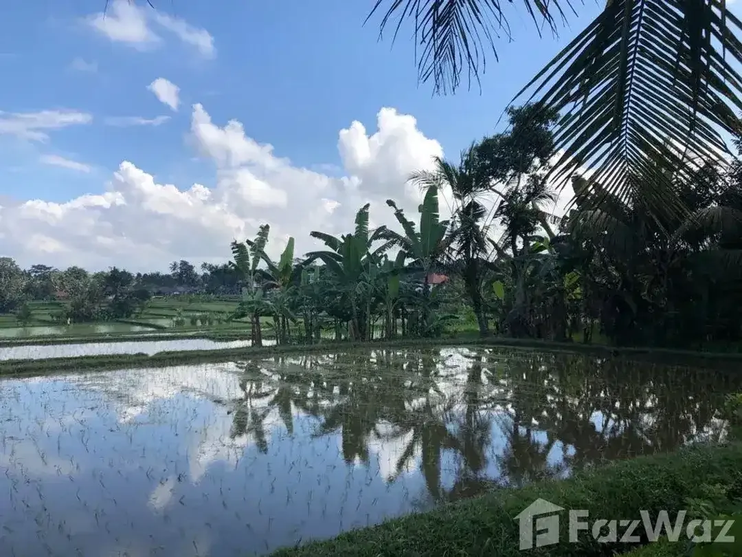 Land for sale in Ubud, Bali - Image 4 of 5
