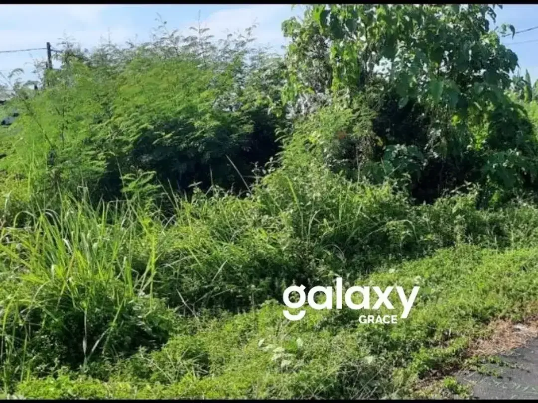 DIJUAL TANAH SELUKAT KERAMAS BLAHBATUH GIANYAR - Image 2 of 7