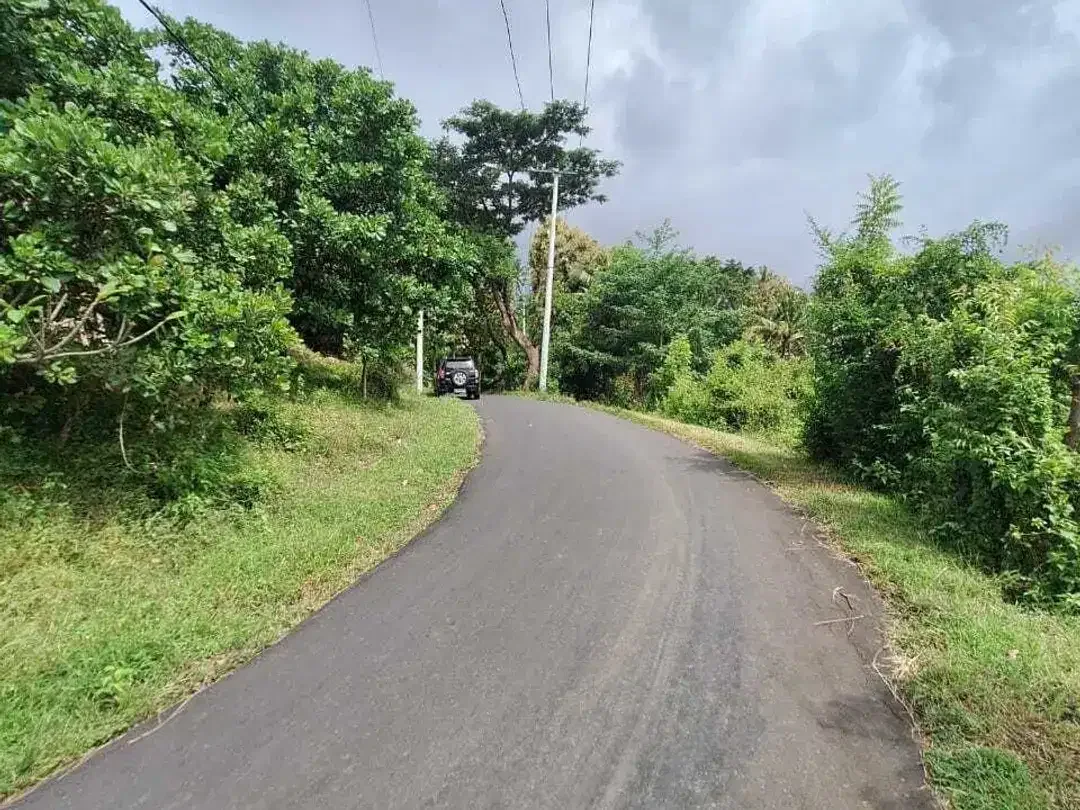 FREEHOLD LAND FOR SALE – LOVINA HILL Bali - Image 5 of 10