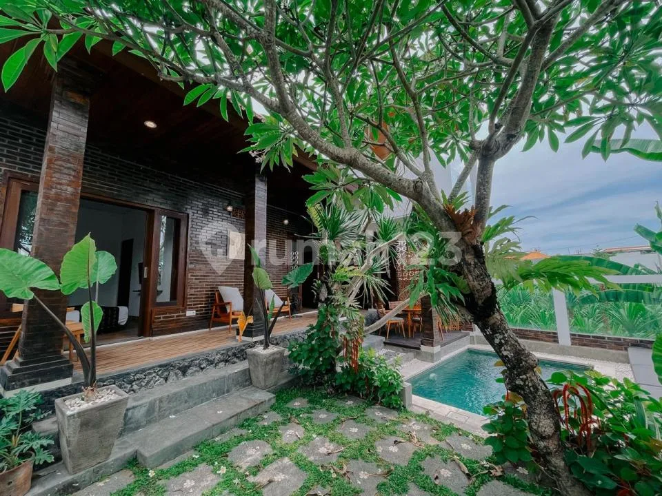 2br Leasehold Yearly Tropical Villa View Sunset Sawah Canggu - Image 1 of 4