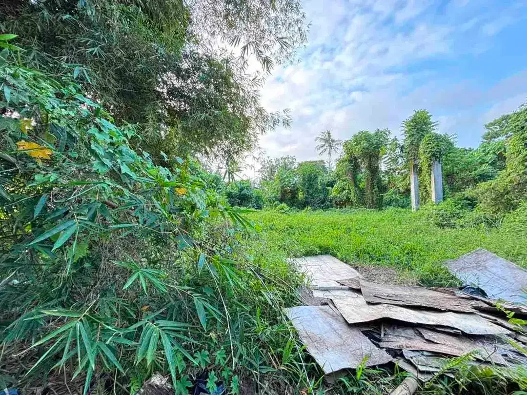 di jual tanah bagus dekat Ubud cocok untuk di kaplvling atau komplek villa - Image 1 of 8