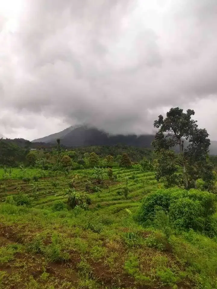 DIJUAL TANAH COCOK UNTUK INVESTASI DI BULELENG - Image 1 of 5