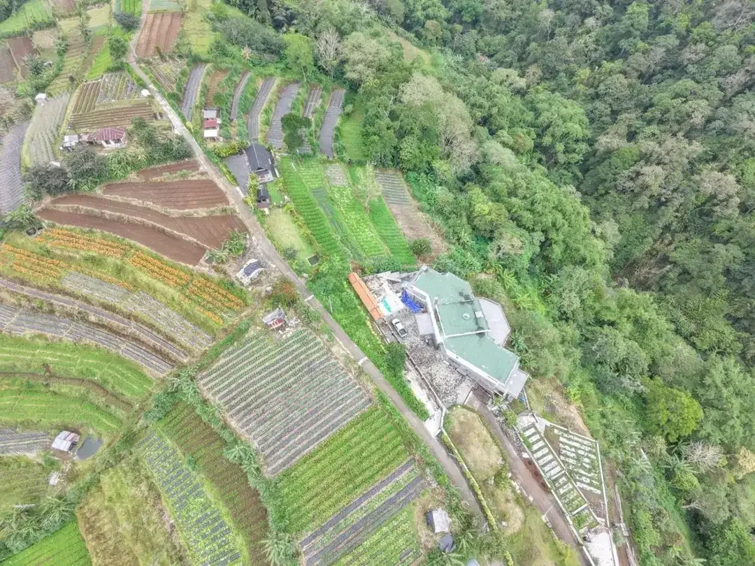 Tanah view pegunungan bedugul - Image 3 of 10