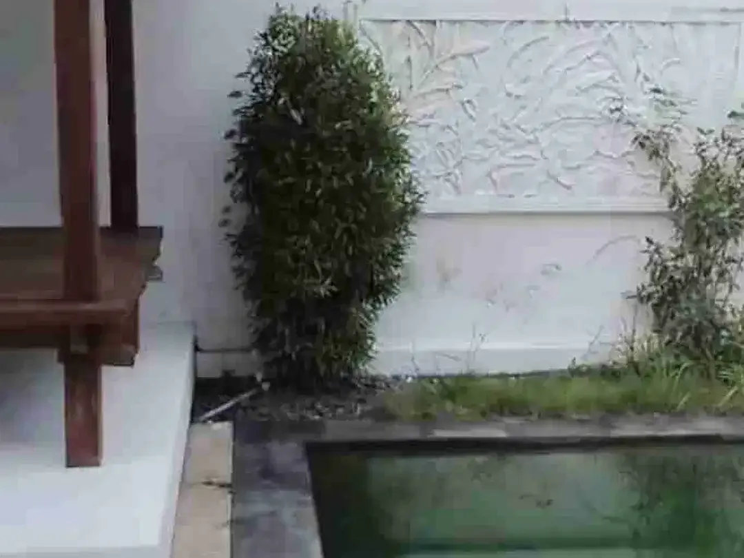 tanah bonusan bangunan villa kutuh Kuta selatan bali - Image 4 of 8